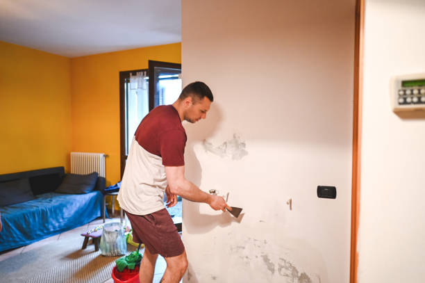 Best Mold Remediation Services  in Cle Elum, WA